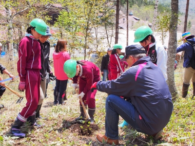 子供植樹